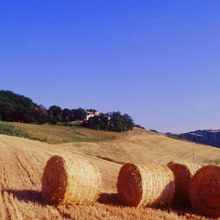 Agriturismo Il Fienile Di Ca Battista Кальи Экстерьер фото