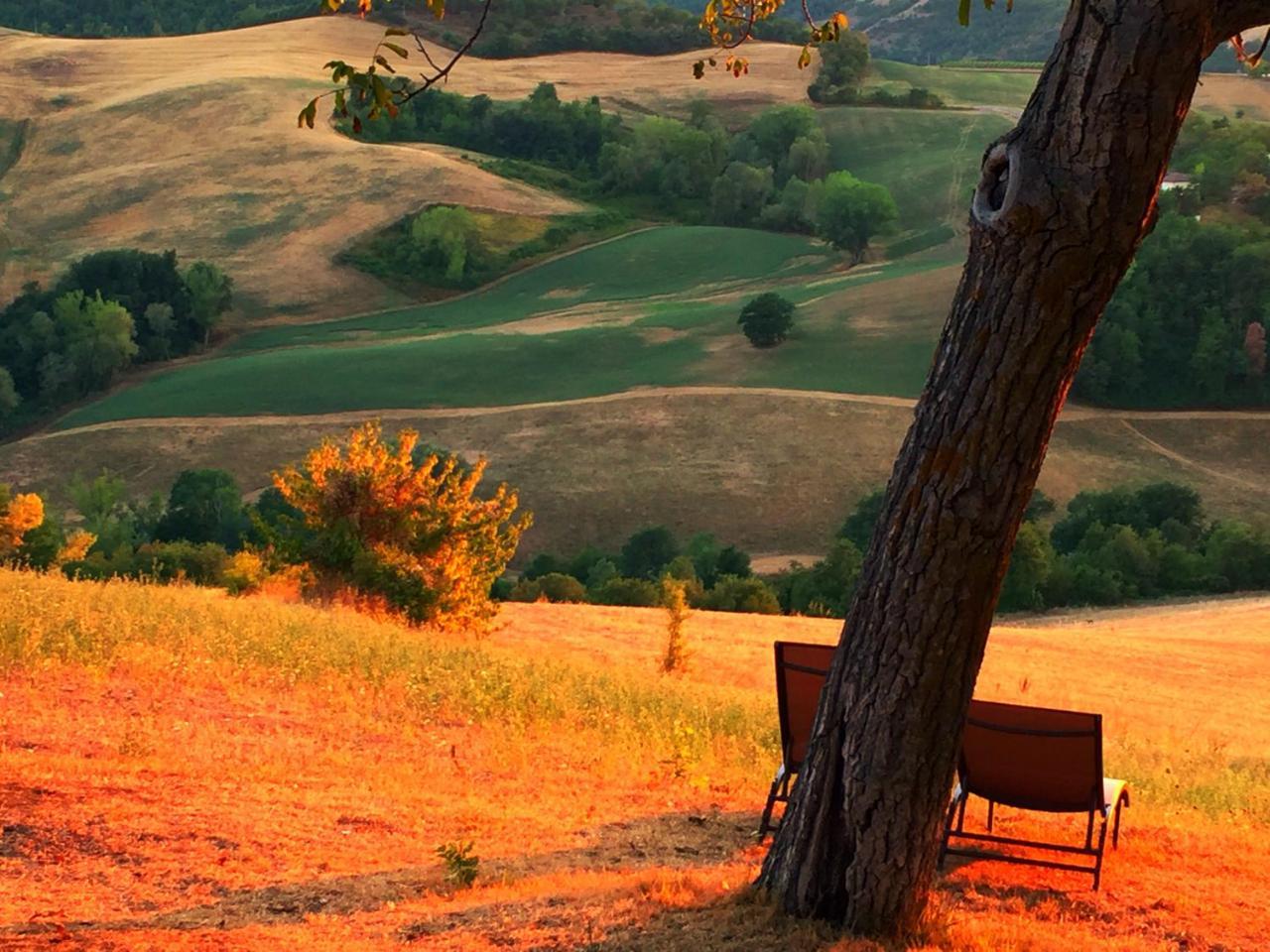 Agriturismo Il Fienile Di Ca Battista Кальи Экстерьер фото