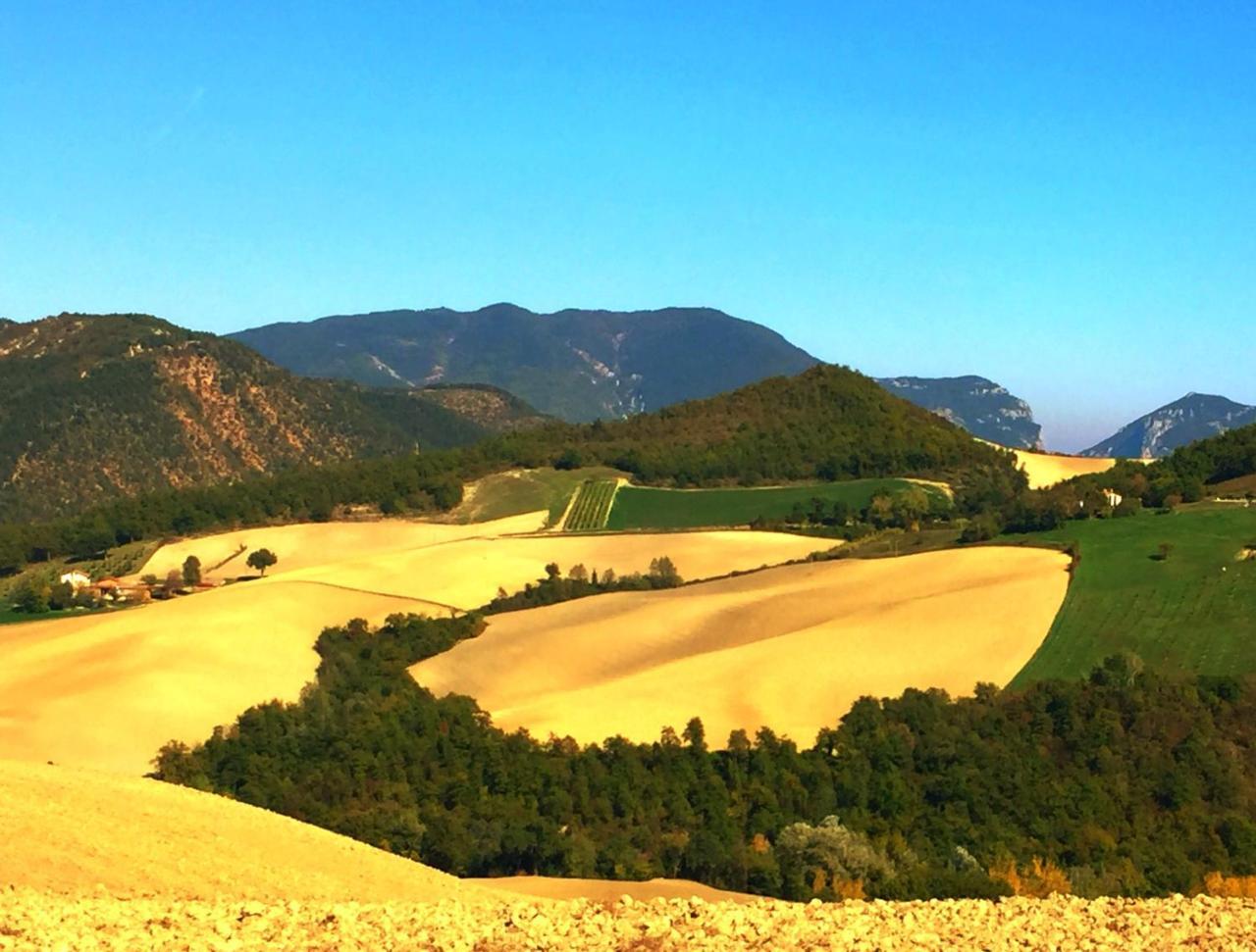 Agriturismo Il Fienile Di Ca Battista Кальи Экстерьер фото